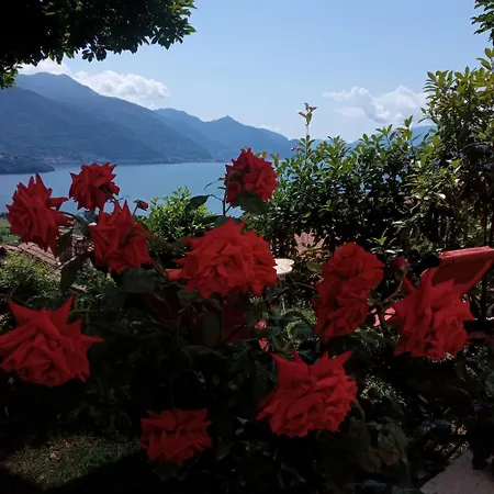 Tres Tajanas * גראבדונה