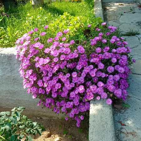 דירה Tres Tajanas