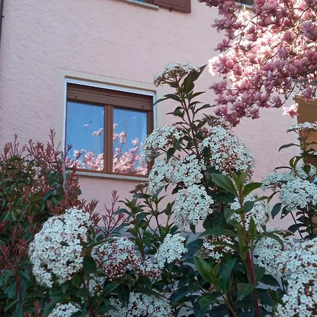 Apartament Tres Tajanas *