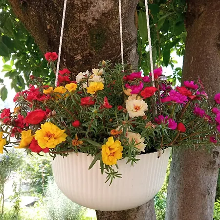 Apartament Tres Tajanas Gravedona