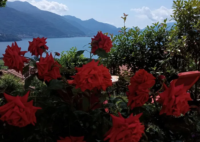 Tres Tajanas * Gravedona