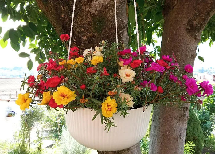 Διαμέρισμα Tres Tajanas Gravedona