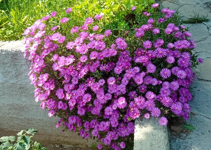 Διαμέρισμα Tres Tajanas